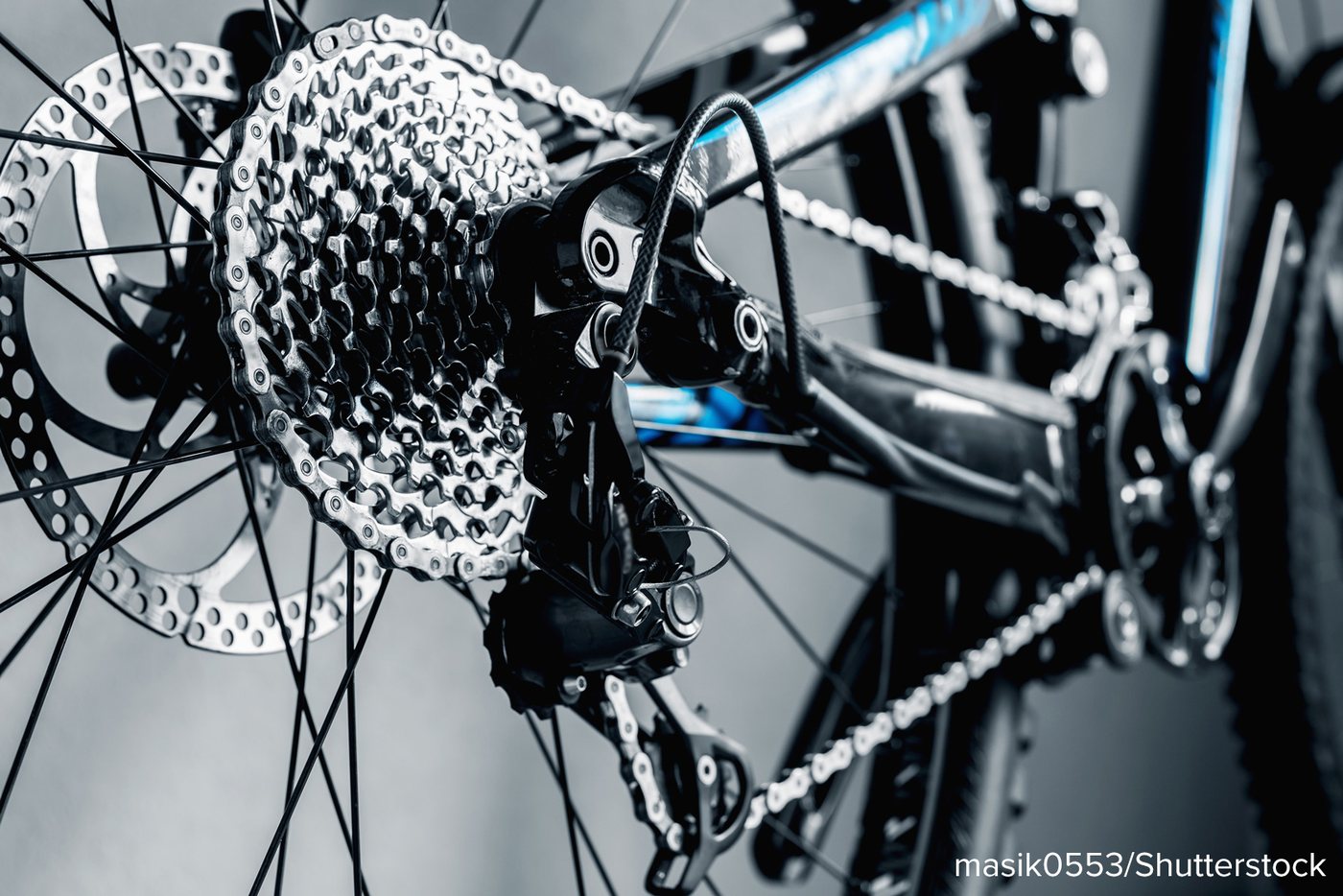 A close-up of a bicycle rear cassette and chain, showing the ring of different-sized gears.