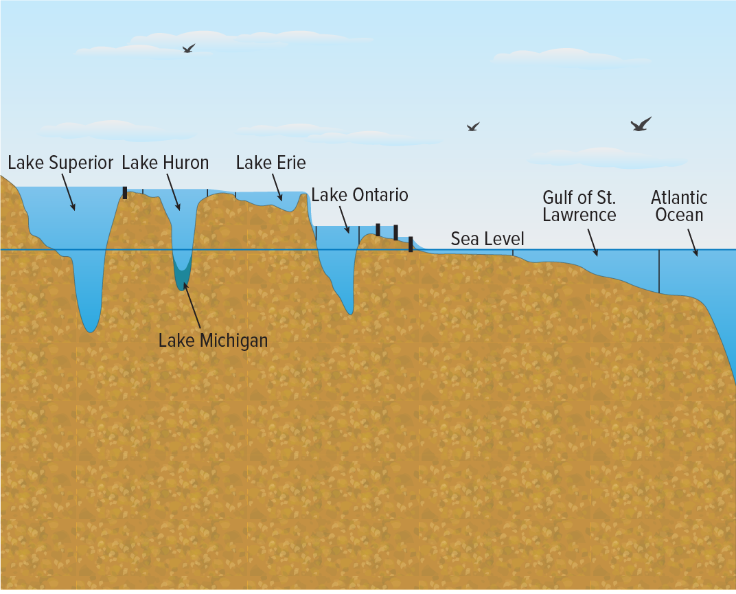 A cross-section of the Great Lakes showing each lake's surface height relative to sea level.